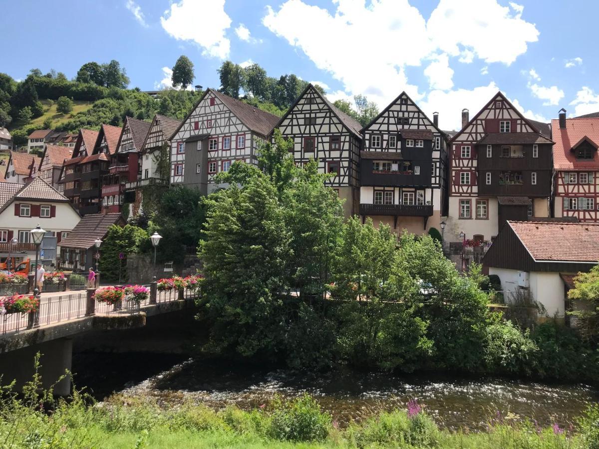 S-Villa Apartments Im Schwarzwald Schiltach Exterior foto